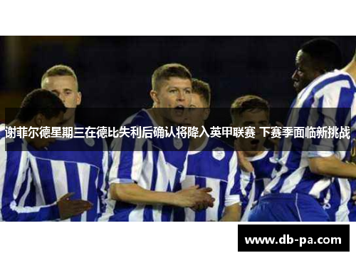 谢菲尔德星期三在德比失利后确认将降入英甲联赛 下赛季面临新挑战
